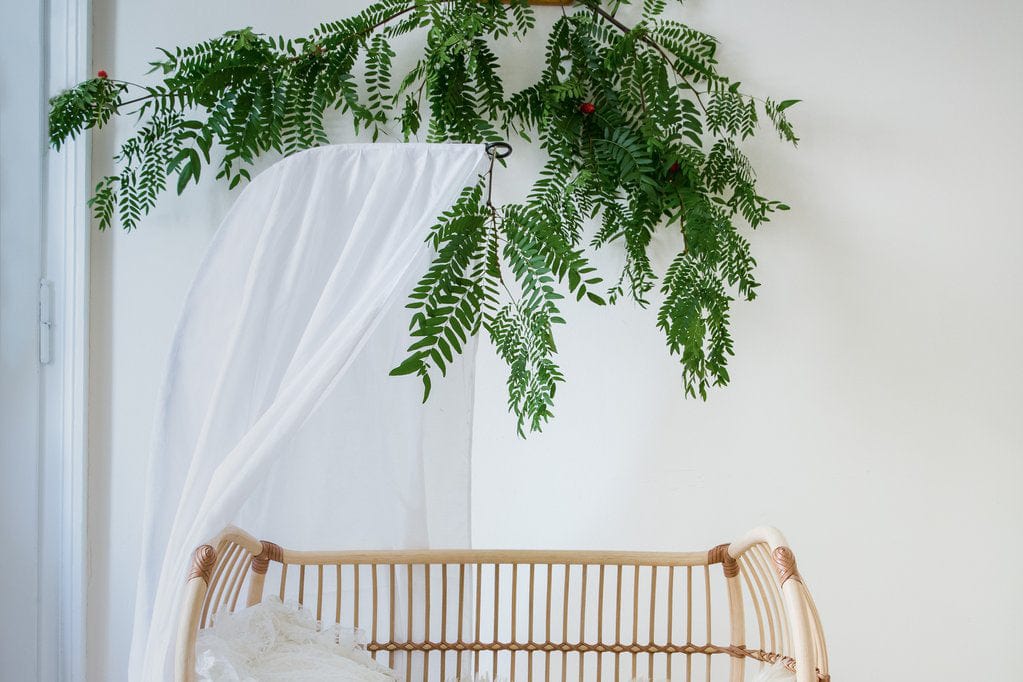 Additional bed with canopy and plants